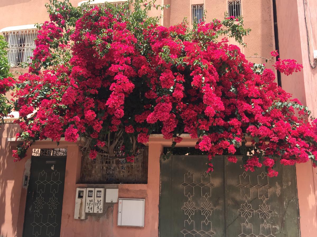 Riad Nejma Lounge Marraquexe Exterior foto